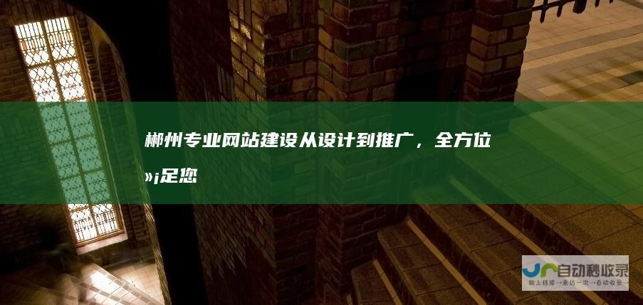 郴州专业网站建设：从设计到推广，全方位满足您的企业需求