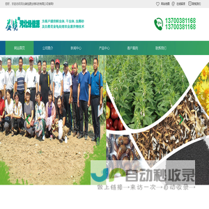 自动化养虫设备,白星花金龟种虫,蛴螬规模化饲养技术,蛴螬粪生物肥-河北绿佳源生物科技有限公司